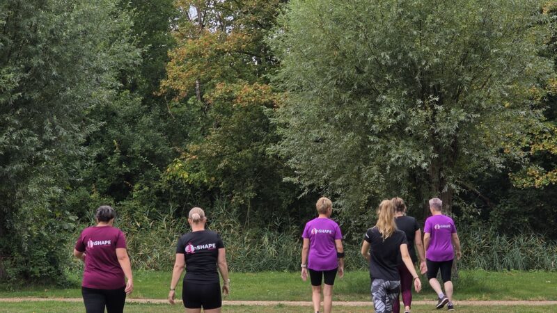 nollebos low intensity bootcamp